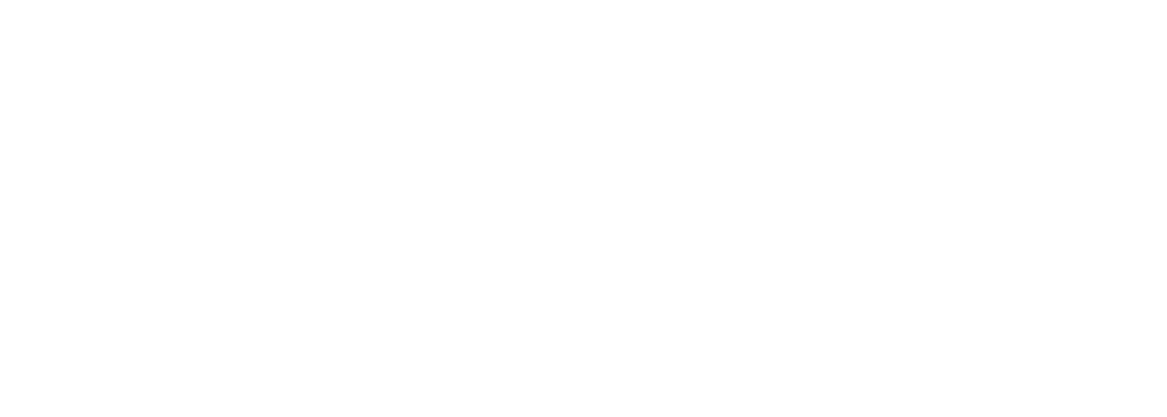 شعار شركة Trusted Vision
